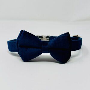 Dog Collar + Bow | M | Velvet | Luxe | Royal Blue | New